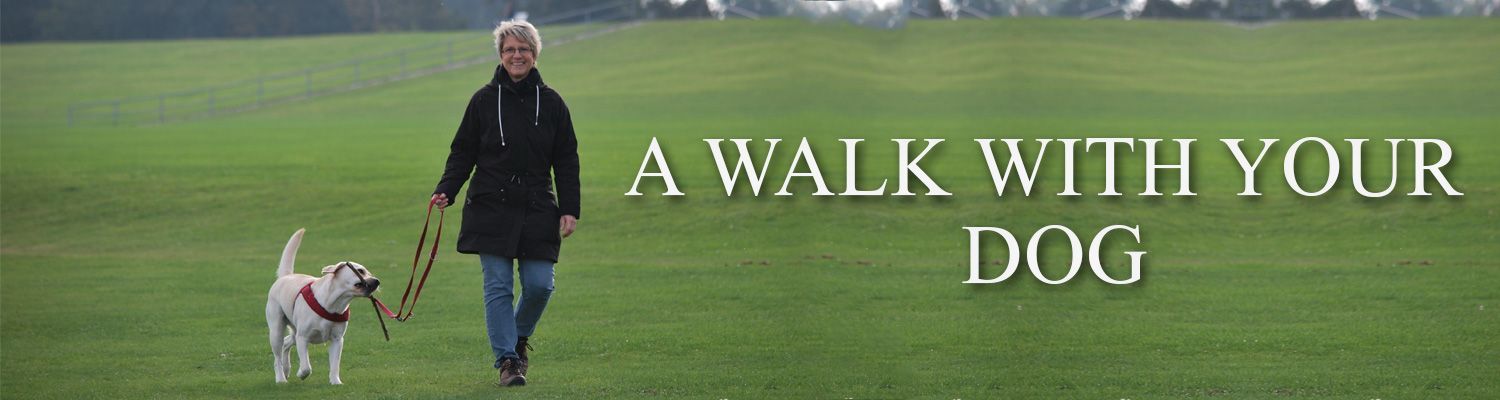 A Walk With Your Dog