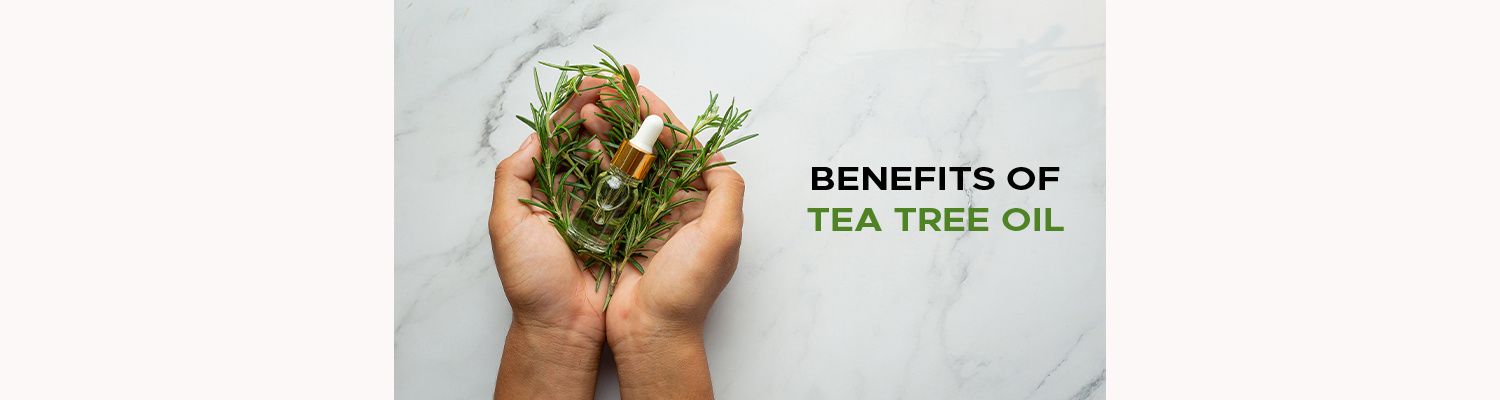 The Benefits of Tea Tree Oil