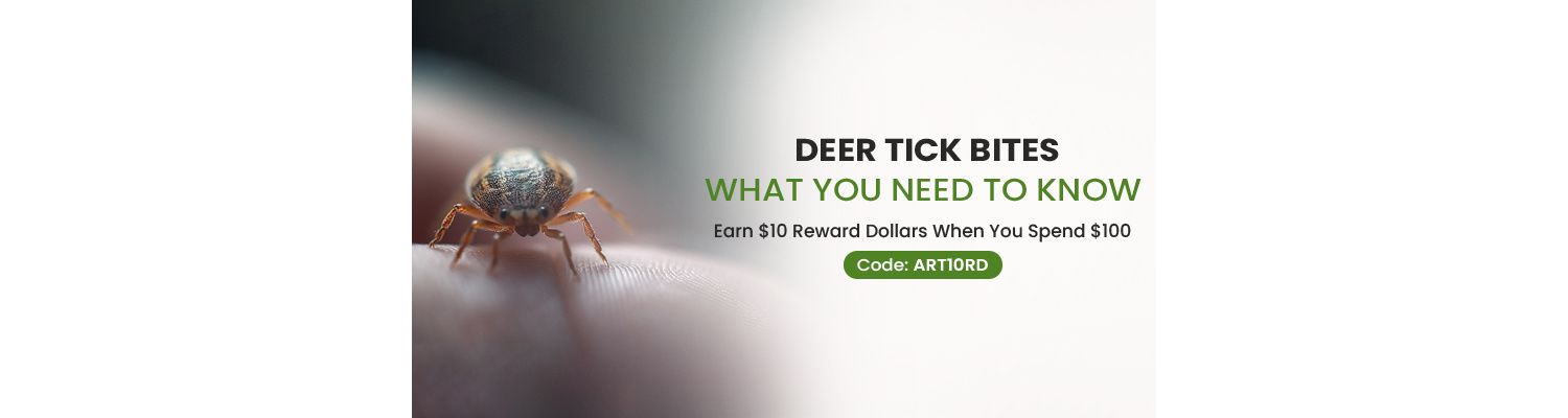 Deer Tick Bites – What You Need to Know