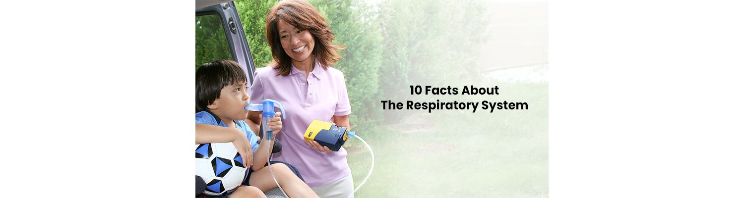 10 Fun Facts About The Respiratory System