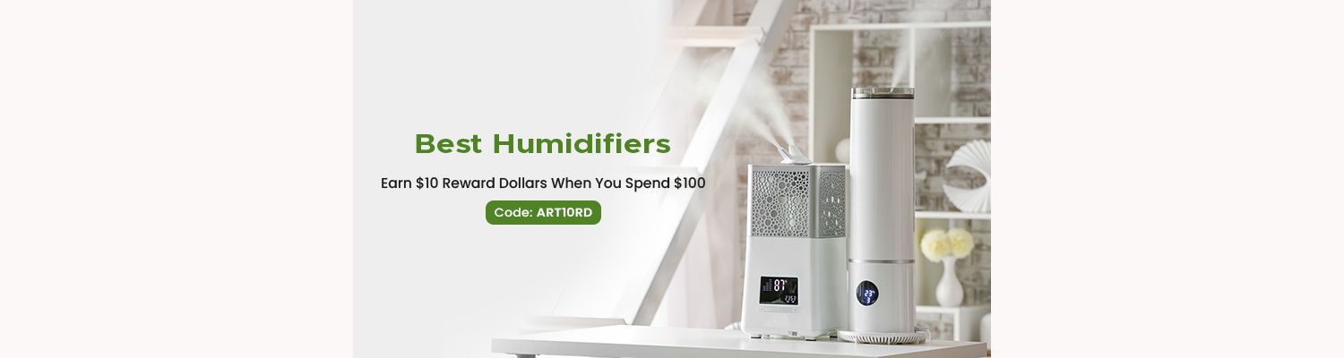 10 Best Humidifiers Of 2024