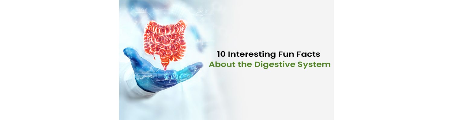 10 Interesting Fun Facts About the Digestive System