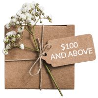 Gift Ideas $100 and above