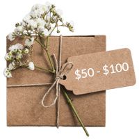 Gift Ideas $50 to $100