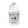 AE Cage Company Poop D Zolver Bird Poop Remover Lime Coconut Scent
