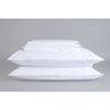 Sleep and Beyond Organic Cotton Percale Sheet Set