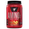 BSN Amino X Dietary Supplement