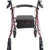 ProBasics Bariatric Rollator With 8 Inch Wheels - Back view