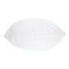 Core Tri-Core Water Adjustable Cervical Support Pillow