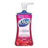 Dial Antibacterial Foaming Hand Wash - DIA03016
