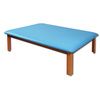 Fixed Height Upholstered Mat Platform Tables