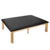AdirMed Upholstered Therapy Table