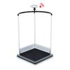 Seca Multifunctional Hand Rail Scale With Stable Railing