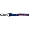 Mirage Blue Embroidered Pet Leash