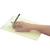 Writing Bird Pen - How to Use