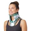 Aspen Vista TX Collar - Usage