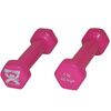 CanDo Vinyl Coated Solid Iron Dumbbell - Pair