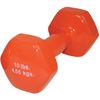 CanDo Vinyl Coated Solid Iron Dumbbell - 10lbs