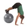 Thera Band PRO Series SCP Exercise Balls