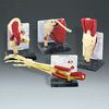 Anatomical Model of Life Size Muscled Joint Set