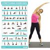 Vive Stretching Workout Poster