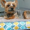 Doggie Design Soft N Tuff Rectangular Pet Crate Dog Bed