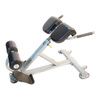 The Abs Company Lumbar X Back Extension Bench