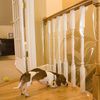 Indoor Banister Shield Protector