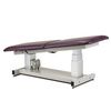 Ultrasound Power Table - Adjustable Backrest Trendelenburg Position