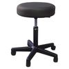 Earthlite Pneumatic Stool with Swivel Casters