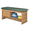 Clinton Flat Top Style Line Straight Line Treatment Table with Shelf and Two Drawers