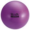 BodySport Standard Fitness Balls
