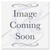Iconex Bank Deposit Coin Bag