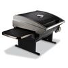 All Food Gas Grill Black Color