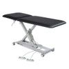 Hausmann Mammoth 2-Section Hi-Lo Treatment Table