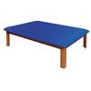 Fixed Height Upholstered Mat Platform Tables