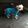 Doggie Design Thermal Pajamas - Full View