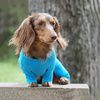 Doggie Design Thermal Pajamas - Usage