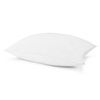 Hollander Sleep Safe Anti-Microbial Pillow Protector