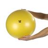 Cushy Air Inflatable Exercise Balls