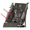 Special Tomato Eio Push Chair - Padded Seat and Back Laterals
