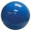CanDo PhysioGymnic Exercise Balls - Blue