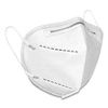 GN1 KN95 Face Mask