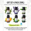 pursonic-essential-aromatherapy-oils