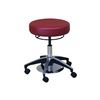 Hausmann Dual Foot And Hand Operated Stool