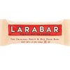 Larabar Nutritional Bar