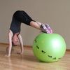 Prism Fitness Group Smart Stability Ball
