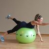 Prism Fitness Smart Stability Ball