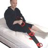 MTS SafetySure Bed Pull-Up