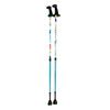Urban Poling Activator Canes